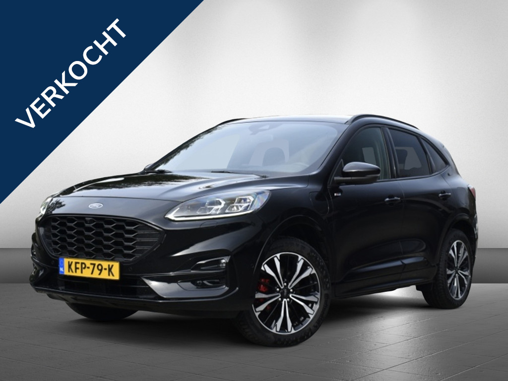 52991905